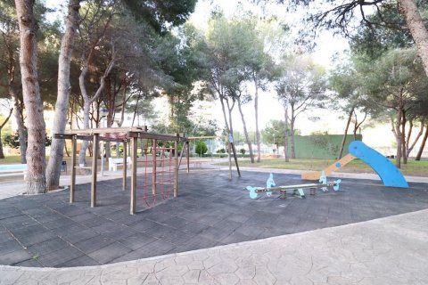 Apartament Dehesa De Campoamor, Alicante, Hiszpania 3 sypialnie, 106 mkw. nr 116777 – zdjęcie 20