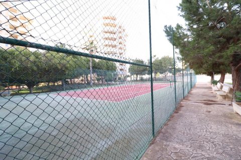 Apartament Dehesa De Campoamor, Alicante, Hiszpania 3 sypialnie, 106 mkw. nr 116777 – zdjęcie 21