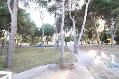 Apartament Dehesa De Campoamor, Alicante, Hiszpania 3 sypialnie, 106 mkw. nr 116777 – zdjęcie 23