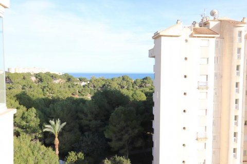 Apartament Dehesa De Campoamor, Alicante, Hiszpania 3 sypialnie, 106 mkw. nr 116777 – zdjęcie 18