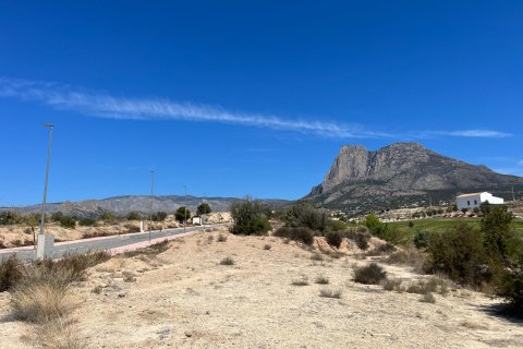 Tontti myytävänä Finestrat, Alicante, Espanja ,  No. 116780 - kuva 3