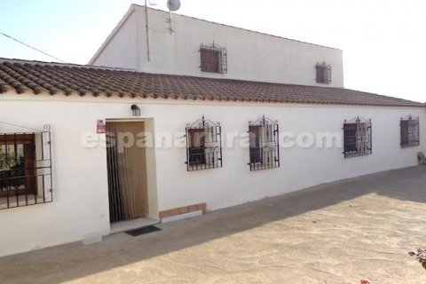 Finca myytävänä Huercal-Overa, Almeria, Espanja, 7 makuuhuonetta, 242 m2 No. 113121 - kuva 19