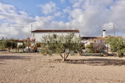 Finca myytävänä Huercal-Overa, Almeria, Espanja, 7 makuuhuonetta, 242 m2 No. 113121 - kuva 2