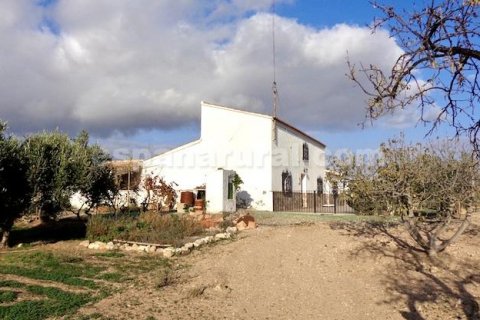 Finca myytävänä Huercal-Overa, Almeria, Espanja, 7 makuuhuonetta, 242 m2 No. 113121 - kuva 3