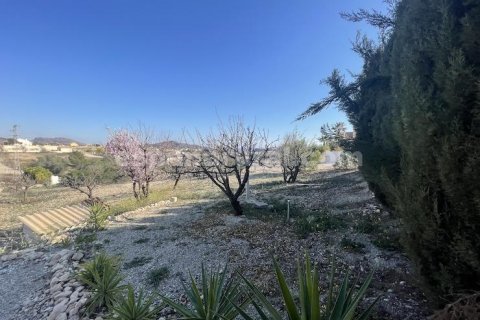 Villa till salu Albox, Almeria, Spanien 3 sovrum, 206 kvm. Nr. 113118 - foto 25