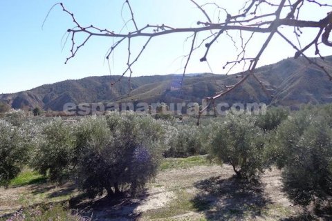 Villa en venta Armuna De Almanzora, Almería, España 3 dormitorios, 122 m2 No. 113117 - foto 4