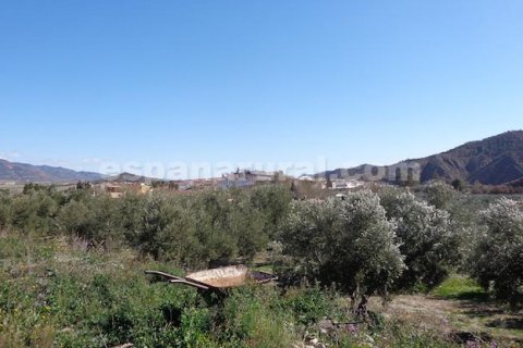 Villa en venta Armuna De Almanzora, Almería, España 3 dormitorios, 122 m2 No. 113117 - foto 3