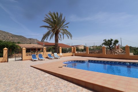 Finca myytävänä Hondon De Las Nieves, Alicante, Espanja, 5 makuuhuonetta, 440 m2 No. 189184 - kuva 22