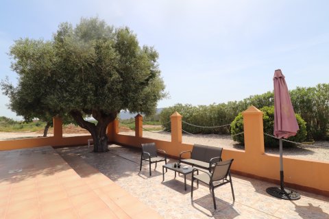 Finca myytävänä Hondon De Las Nieves, Alicante, Espanja, 5 makuuhuonetta, 440 m2 No. 189184 - kuva 25
