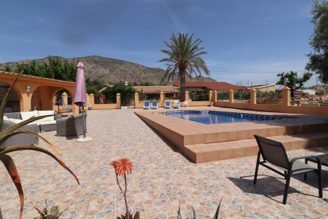 Finca myytävänä Hondon De Las Nieves, Alicante, Espanja, 5 makuuhuonetta, 440 m2 No. 189184 - kuva 20