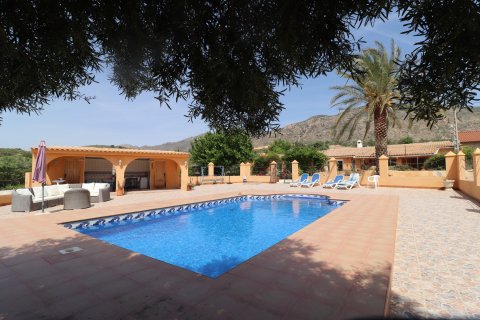 Finca Hondon De Las Nieves, Alicante, Espanja 5 makuuhuonetta, 440 m2 No. 189184
