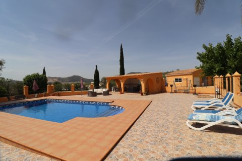 Finca myytävänä Hondon De Las Nieves, Alicante, Espanja, 5 makuuhuonetta, 440 m2 No. 189184 - kuva 23