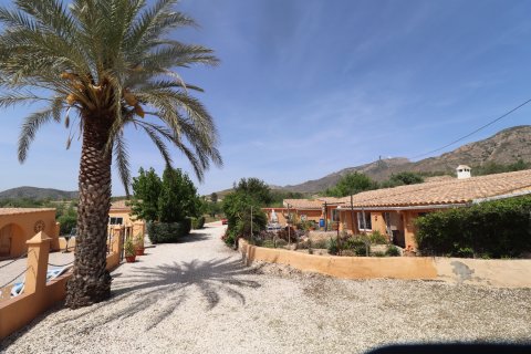 Finca myytävänä Hondon De Las Nieves, Alicante, Espanja, 5 makuuhuonetta, 440 m2 No. 189184 - kuva 2