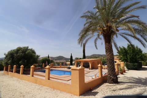 Finca myytävänä Hondon De Las Nieves, Alicante, Espanja, 5 makuuhuonetta, 440 m2 No. 189184 - kuva 3