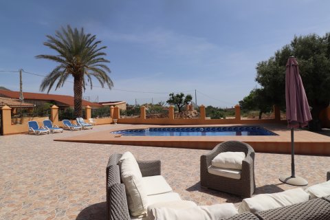 Finca myytävänä Hondon De Las Nieves, Alicante, Espanja, 5 makuuhuonetta, 440 m2 No. 189184 - kuva 29