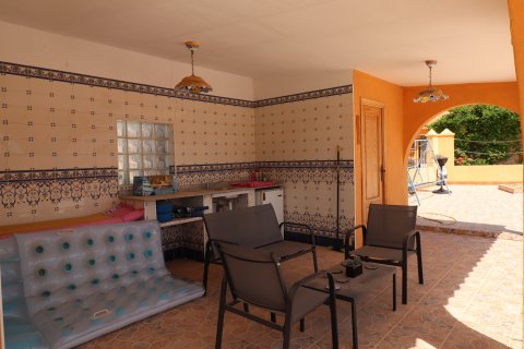 Finca myytävänä Hondon De Las Nieves, Alicante, Espanja, 5 makuuhuonetta, 440 m2 No. 189184 - kuva 27