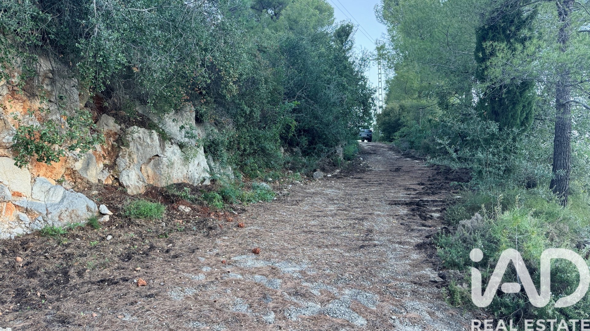 Commercial property in Pego, Alicante, Spain No. 185415