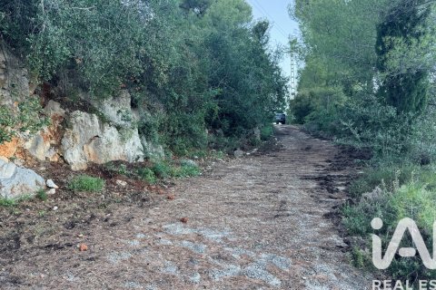 Propiedad comercial en venta en Pego, Alicante, España No. 185415 - foto 7
