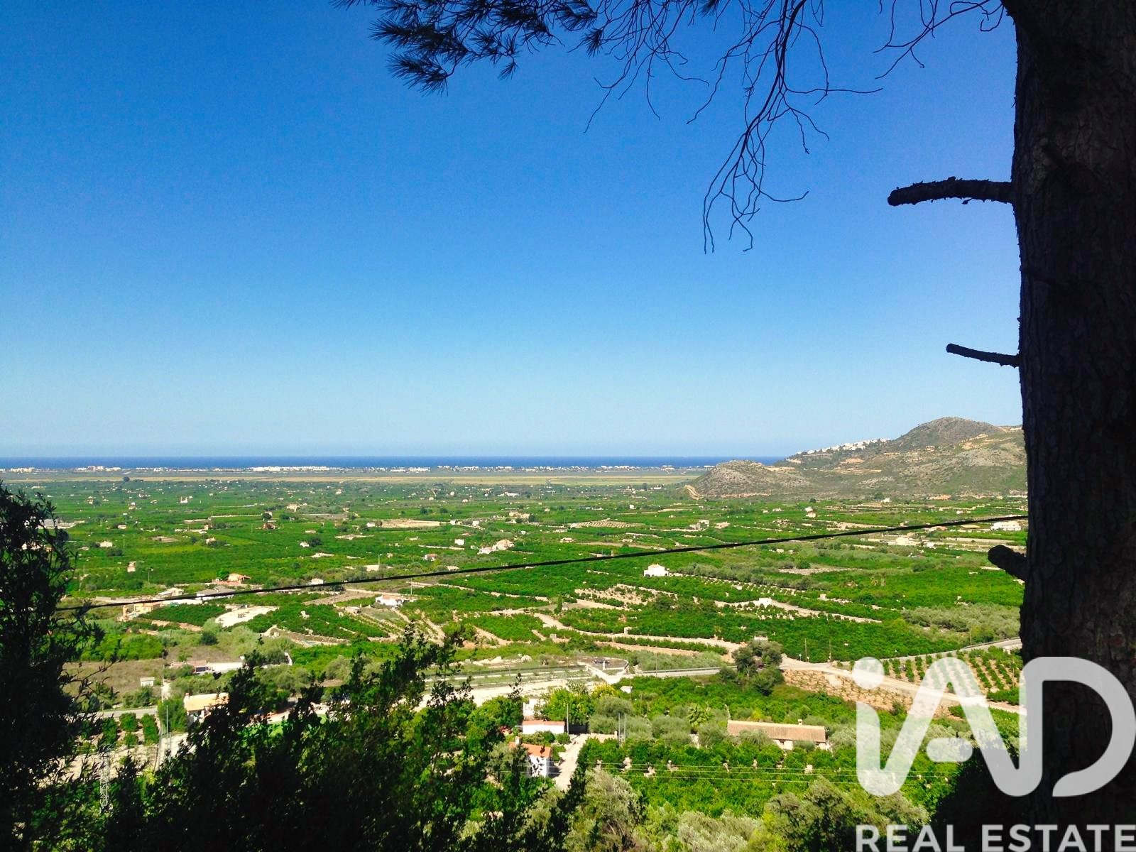 Commercial property in Pego, Alicante, Spain No. 185415