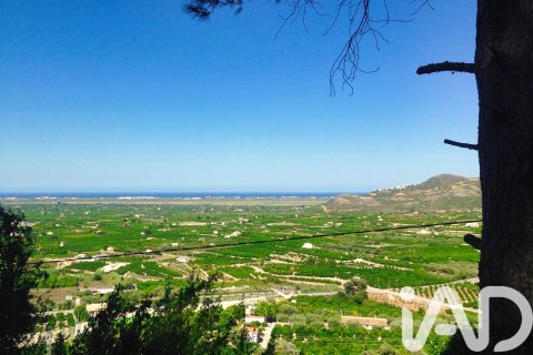 Propiedad comercial en venta en Pego, Alicante, España No. 185415 - foto 3