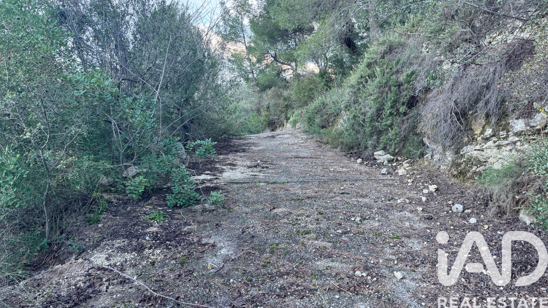Commercial property in Pego, Alicante, Spain No. 185415