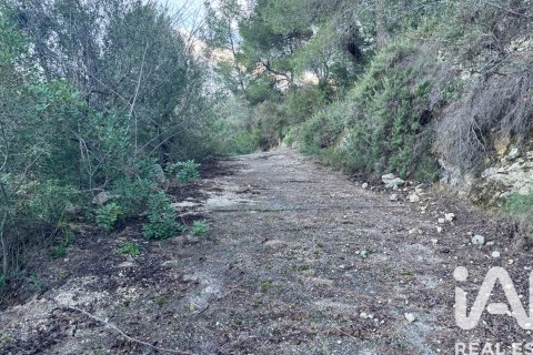 Propiedad comercial en venta en Pego, Alicante, España No. 185415 - foto 5