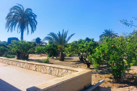 House zum Verkauf in La Marina, Alicante, Spanien 5 Schlafzimmer, 315 m2 Nr. 168801 - Foto 11