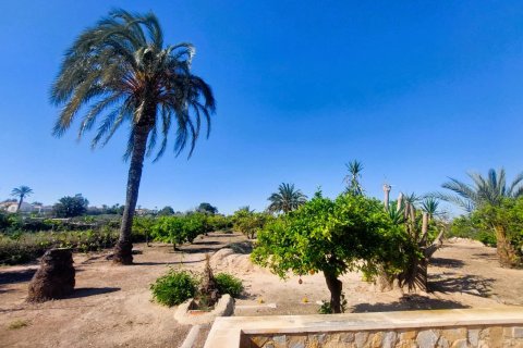 House zum Verkauf in La Marina, Alicante, Spanien 5 Schlafzimmer, 315 m2 Nr. 168801 - Foto 10