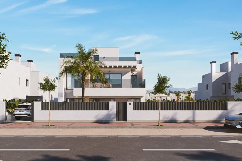 Santa Rosalia Torre-Pacheco, Murcia, Espanja No. 154609 - kuva 6