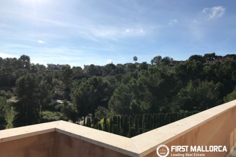 Villa zur Miete in Cala Vinyes, Mallorca, Spanien 4 Schlafzimmer, 234 m2 Nr. 196132 - Foto 18