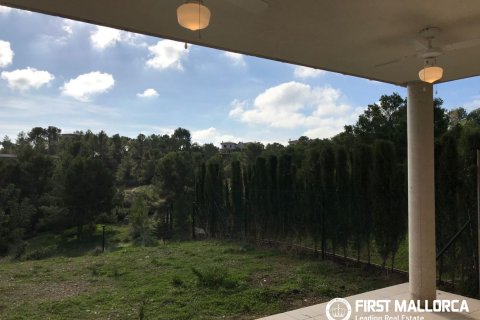Villa zur Miete in Cala Vinyes, Mallorca, Spanien 4 Schlafzimmer, 234 m2 Nr. 196132 - Foto 5