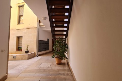 Apartamento en alquiler en Palma de Mallorca, Mallorca, España 2 dormitorios, 70 m2 No. 196130 - foto 9