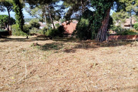 Tomt i Bigues i Riells, Barcelona, Spanien Nr. 191101