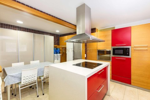 Apartamento en venta en L'Ametlla del Vallès, Barcelona, España 5 dormitorios, 1342 m2 No. 191104 - foto 19