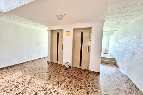 Huoneisto myytävänä Punta Prima, Alicante, Espanja, 3 makuuhuonetta, 87 m2 No. 190253 - kuva 28