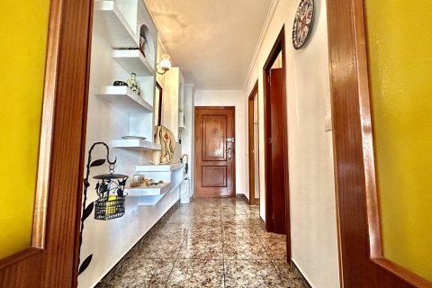 Huoneisto myytävänä Punta Prima, Alicante, Espanja, 3 makuuhuonetta, 87 m2 No. 190253 - kuva 21