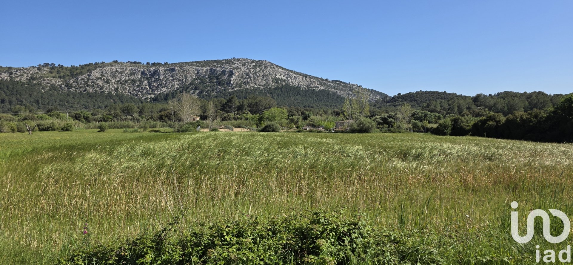 Propiedad comercial en Pollenca, Mallorca, España No. 185911