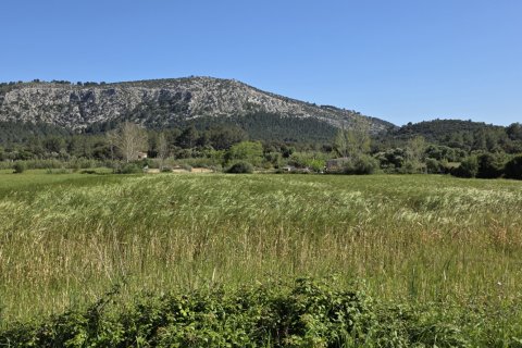 Proprietà commerciale in vendita a Pollenca, Mallorca, Spagna N° 185911 - foto 3