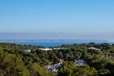 Villa à vendre à Portals Nous, Mallorca, Espagne, 6 chambres, 846 m2 No. 69026 - photo 29