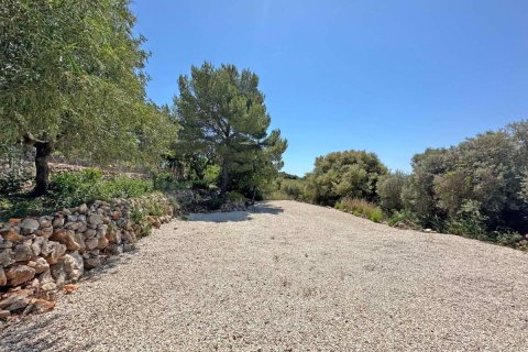 Willa w Jalon, Alicante, Hiszpania 3 sypialnie, 178 mkw. nr 148935 – zdjęcie 21