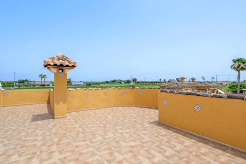 Finca myytävänä Catral, Alicante, Espanja, 3 makuuhuonetta, 153 m2 No. 148934 - kuva 29