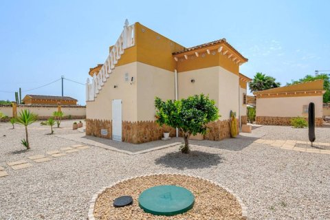 Finca myytävänä Catral, Alicante, Espanja, 3 makuuhuonetta, 153 m2 No. 148934 - kuva 27