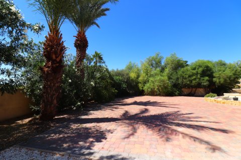 Finca for sale in Catral, Alicante, Spain 3 bedrooms, 235 sq.m. No. 146605 - photo 28