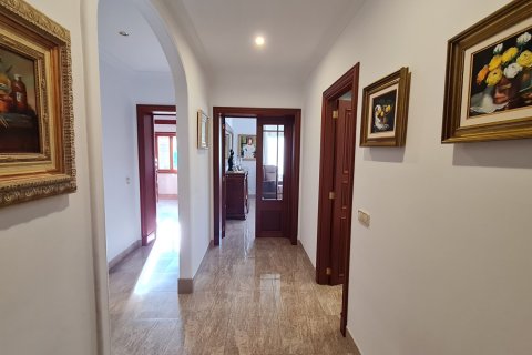 Casa adosada en venta en Manacor, Mallorca, España 3 dormitorios, 540 m2 No. 141436 - foto 13