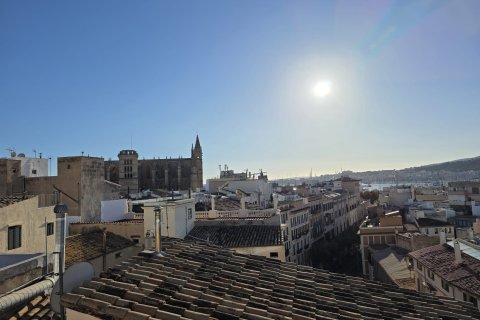 Penthauss īrēšanai Palma de Majorca, Mallorca, Spānijā 1 istaba, 70 m2 Nr. 141435 - attēls 8
