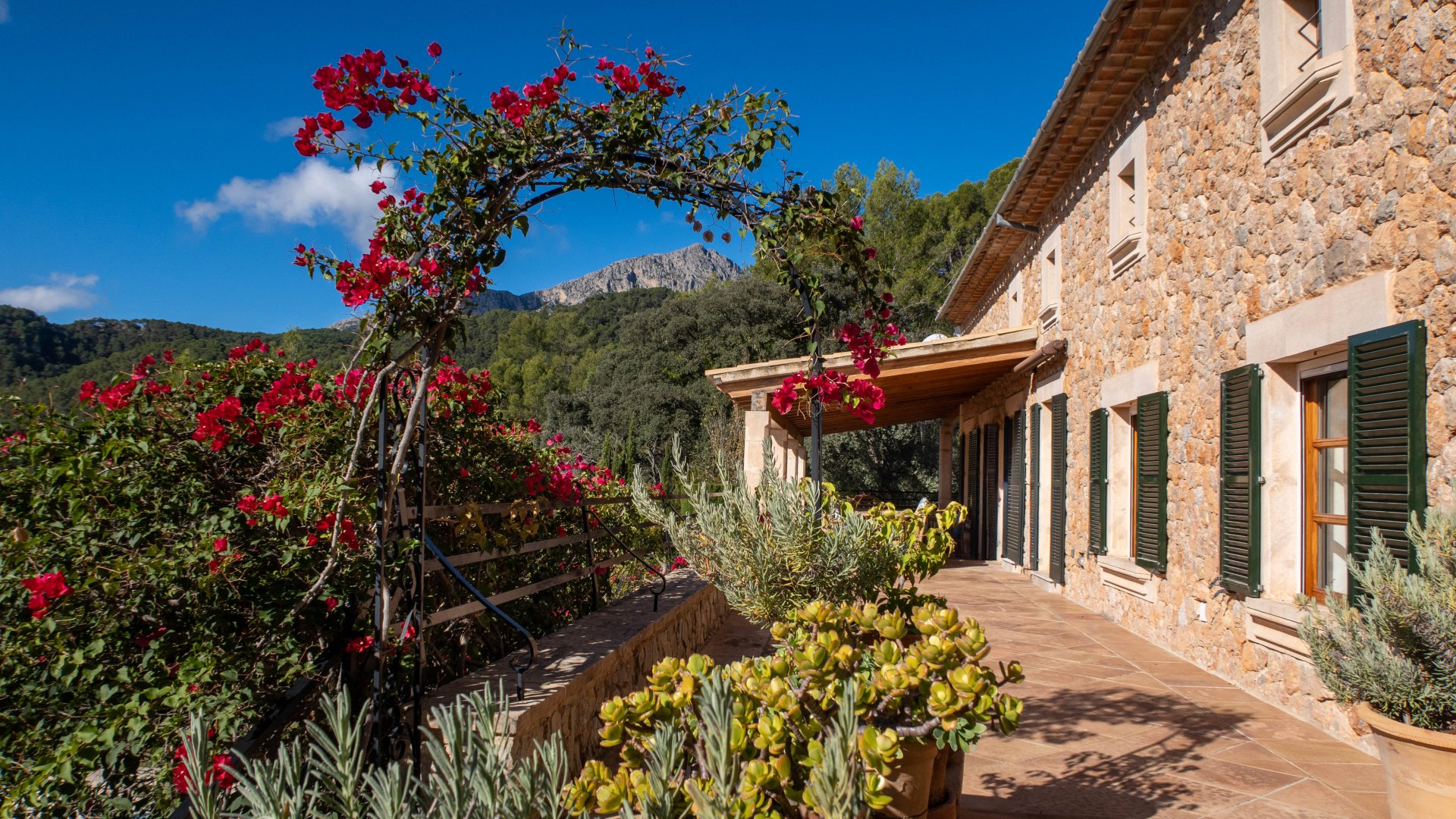Finca a Puigpunyent, Mallorca, Spagna 5 camere da letto, 499 mq. N° 141434