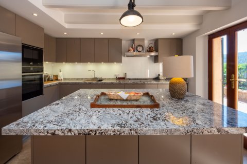 Finca pārdošanā Puigpunyent, Mallorca, Spānijā 5 istabas, 499 m2 Nr. 141434 - attēls 13
