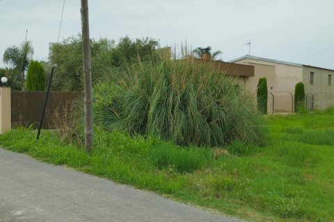 Land plot for sale in Deltebre, Tarragona, Spain 1987 sq.m. No. 193553 - photo 3