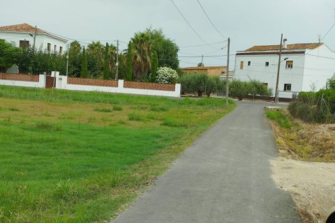 Land plot for sale in Deltebre, Tarragona, Spain 1987 sq.m. No. 193553 - photo 2