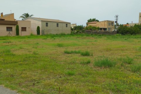 Land plot for sale in Deltebre, Tarragona, Spain 1987 sq.m. No. 193553 - photo 10
